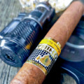 Cohiba Esplendidos